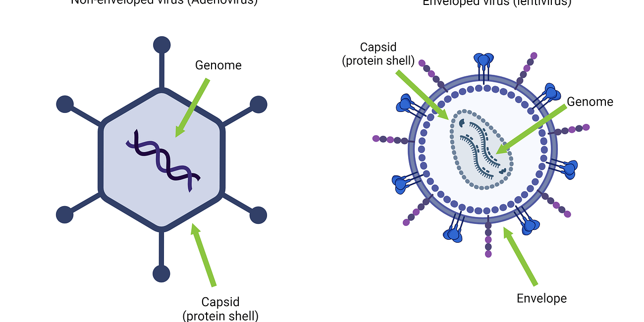 Top 80 ways to know viruses are real