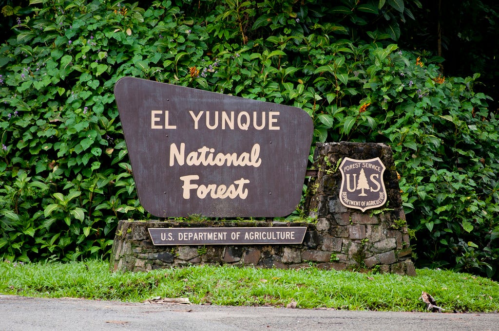 Entrance sign for El Yunque National Forest Entrance sign for El Yunque National Forest