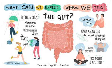 What Can we Expect when we Heal the Gut Stock Vector - Illustration of microflora, infographic ... What Can we Expect when we Heal the Gut Stock Vector - Illustration of microflora, infographic ...