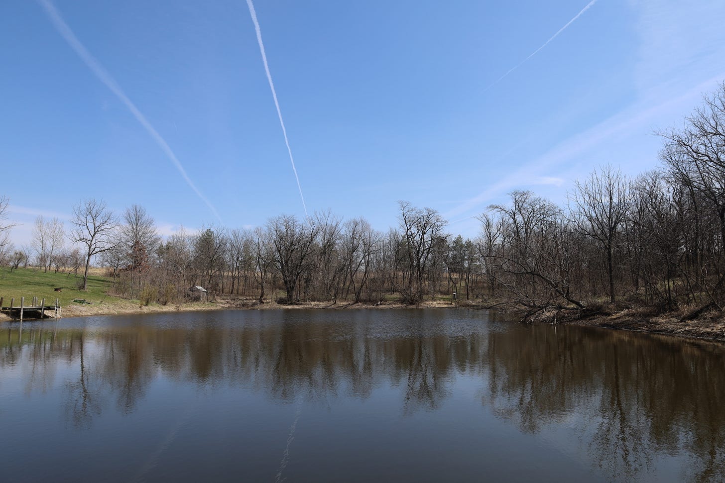 Pond at Blue Gate Farm