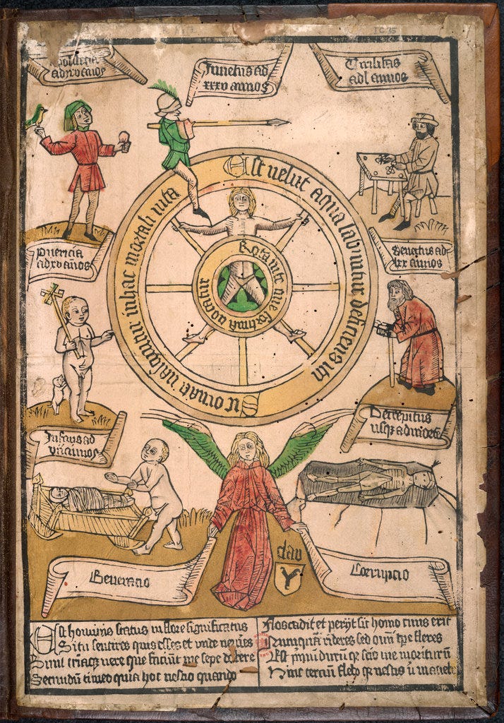 Rota uite que fortuna uocatur. Rota uite que fortuna uocatur.