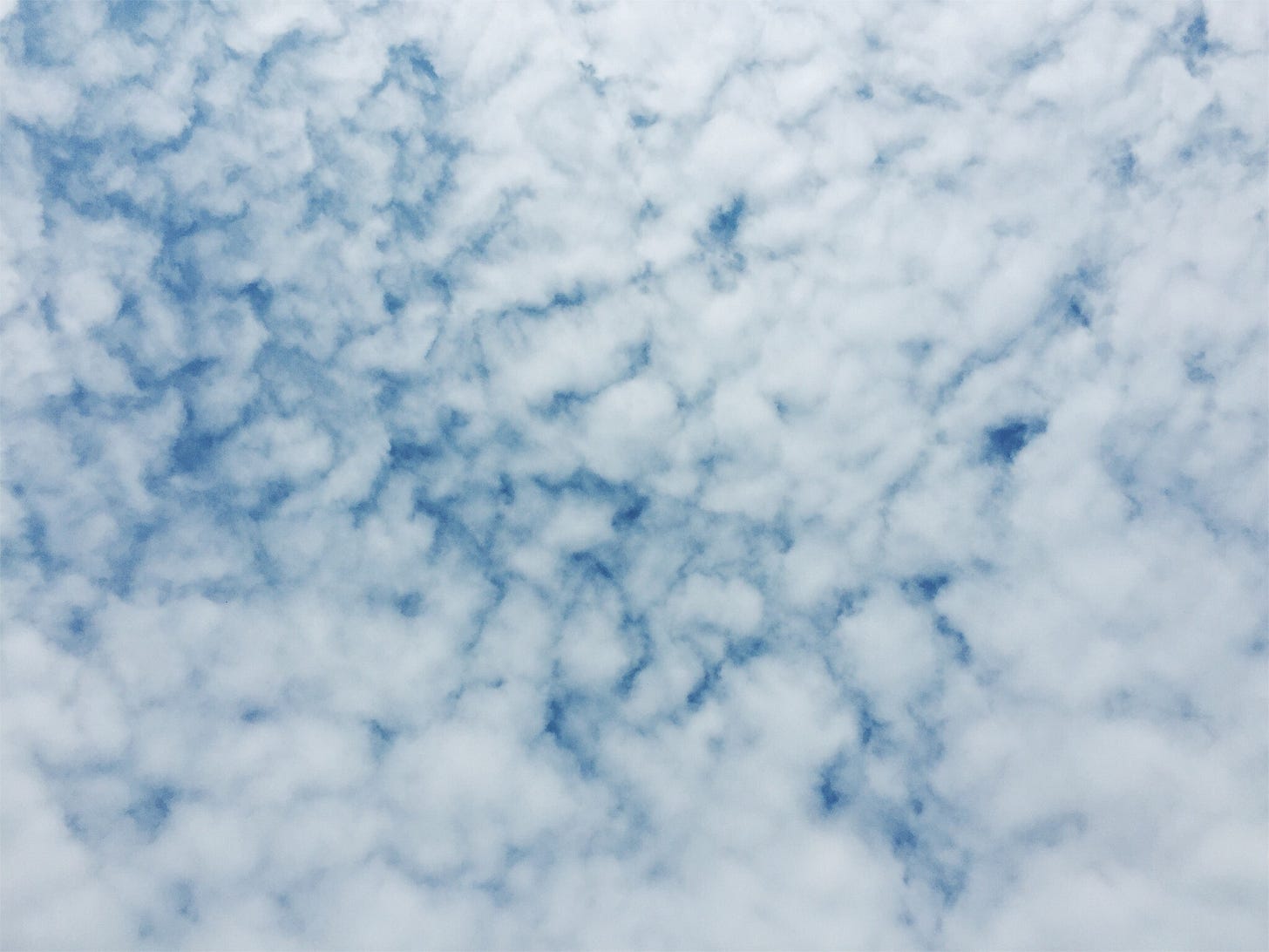 Clouds in the sky resemblin Arctic cotton. Photo credit: me. Clouds in the sky resemblin Arctic cotton. Photo credit: me.