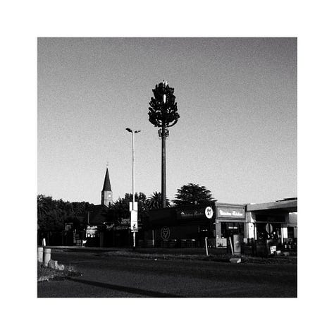 A gallery with some black and white photos.