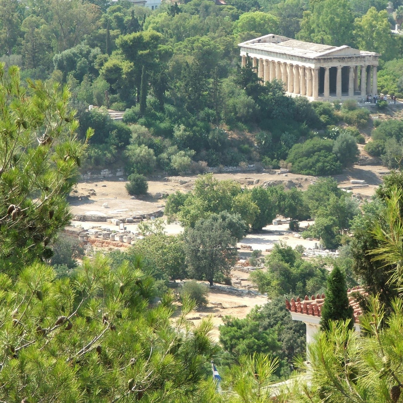 Love and Lost Creatures