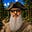 Randall A. Wolfshield VII ☦️'s avatar