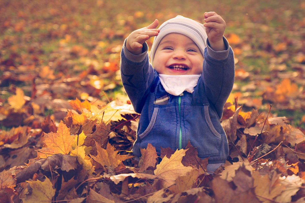 How to Celebrate Sukkot With Young Kids – Kveller
