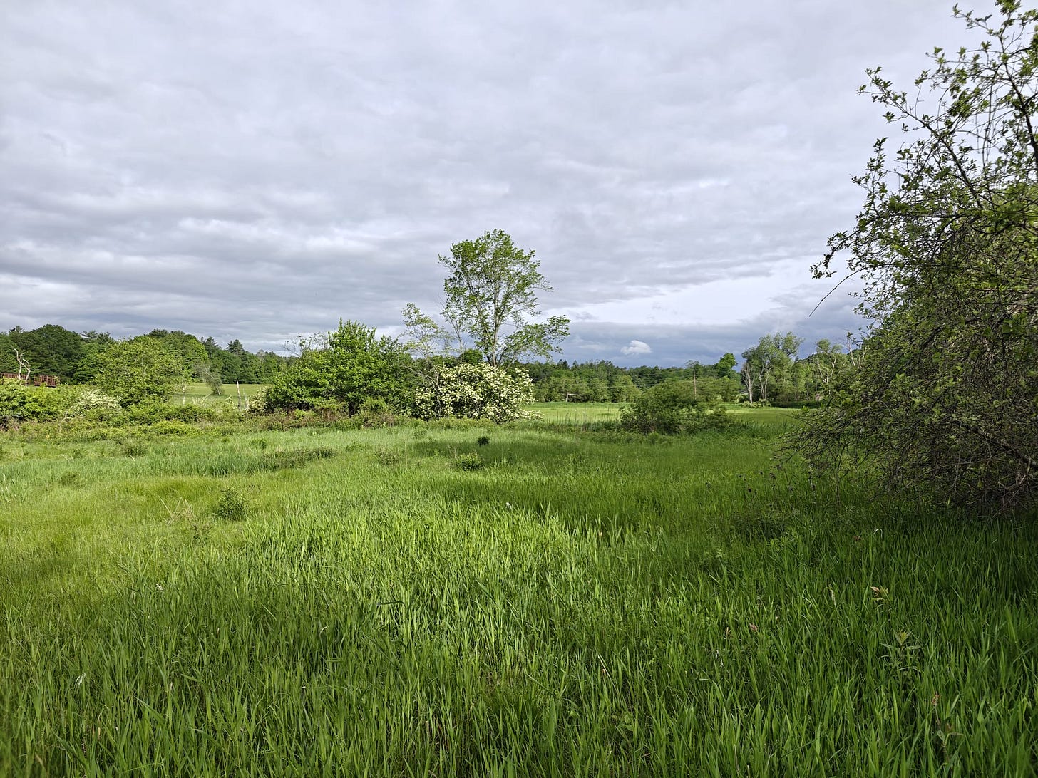 A Trek Along the Cocheco Railroad