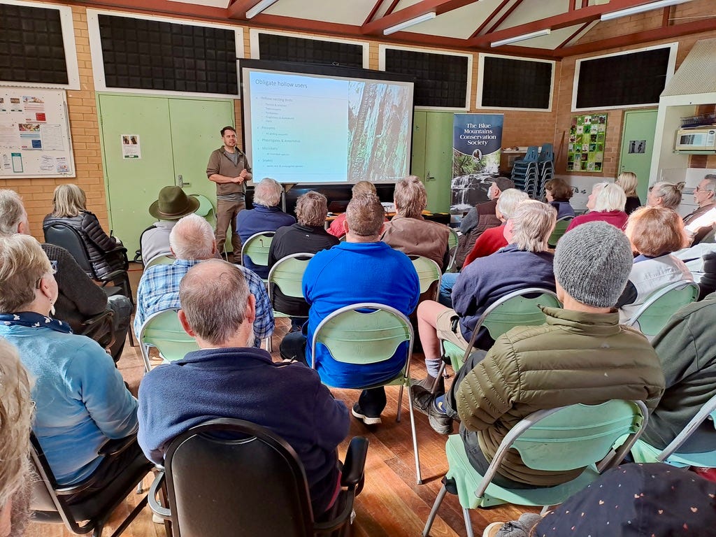 Peter Ridgeway discussing the species of fauna that require hollows Peter Ridgeway discussing the species of fauna that require hollows