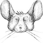 Chinchilla Squeaks