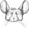 Chinchilla Squeaks