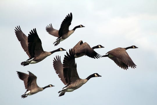 imnhvn.substack.com