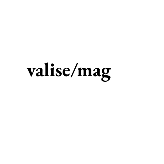Substack profile picture for @valise