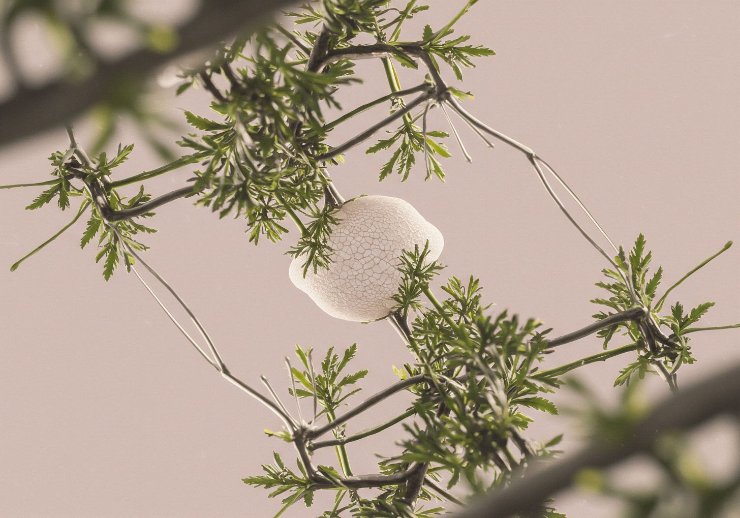 Childcare and poverty cycle in America