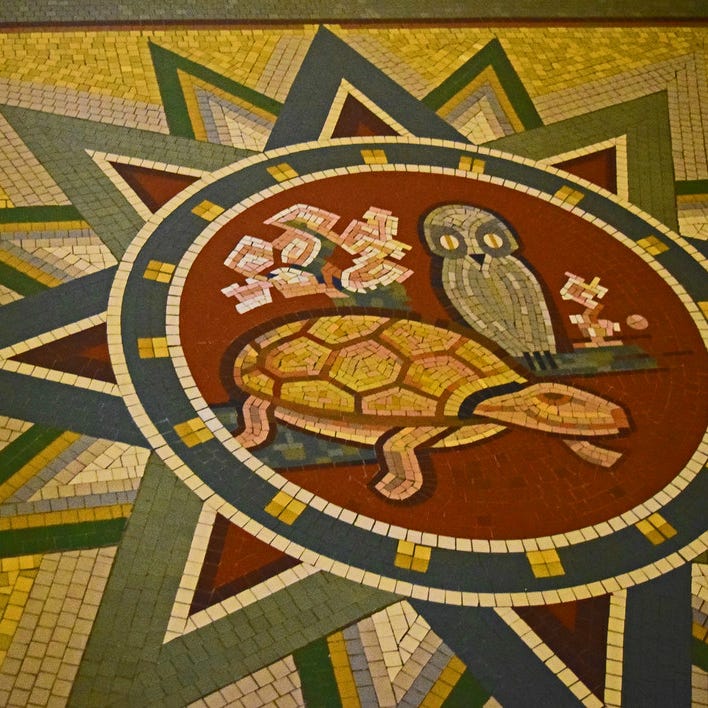 The Turtle and the Owl