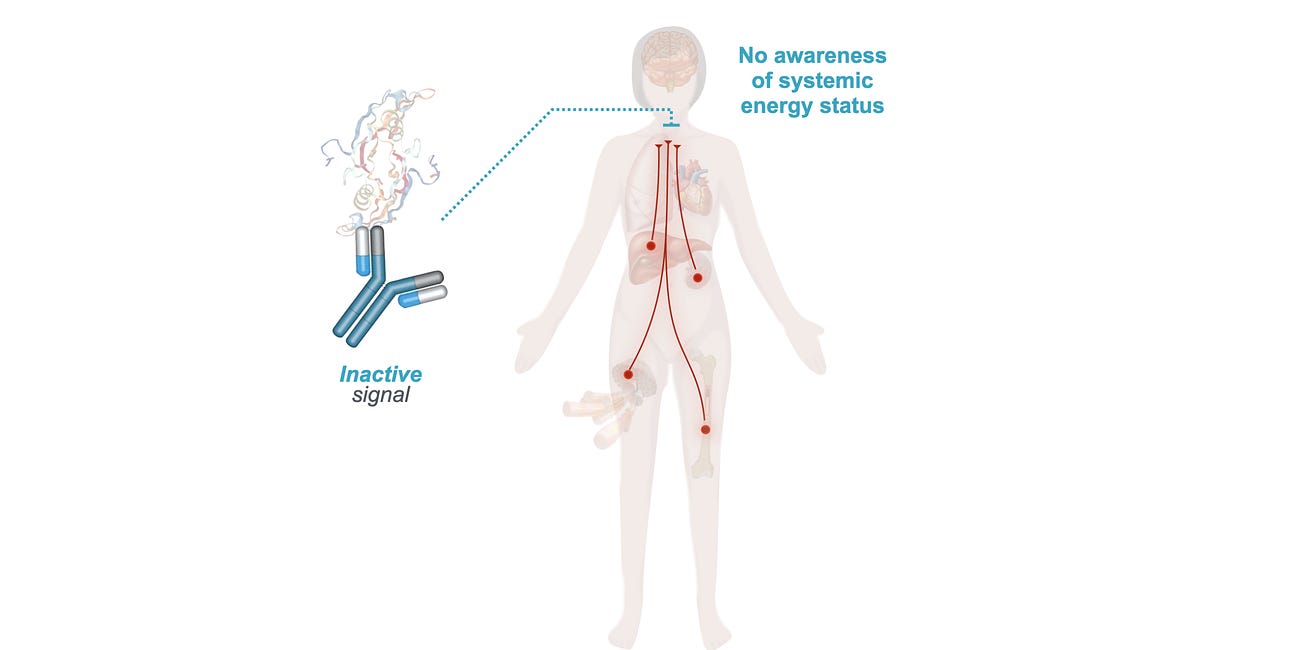 Could Blocking Brain Energy Sensing Kill You?