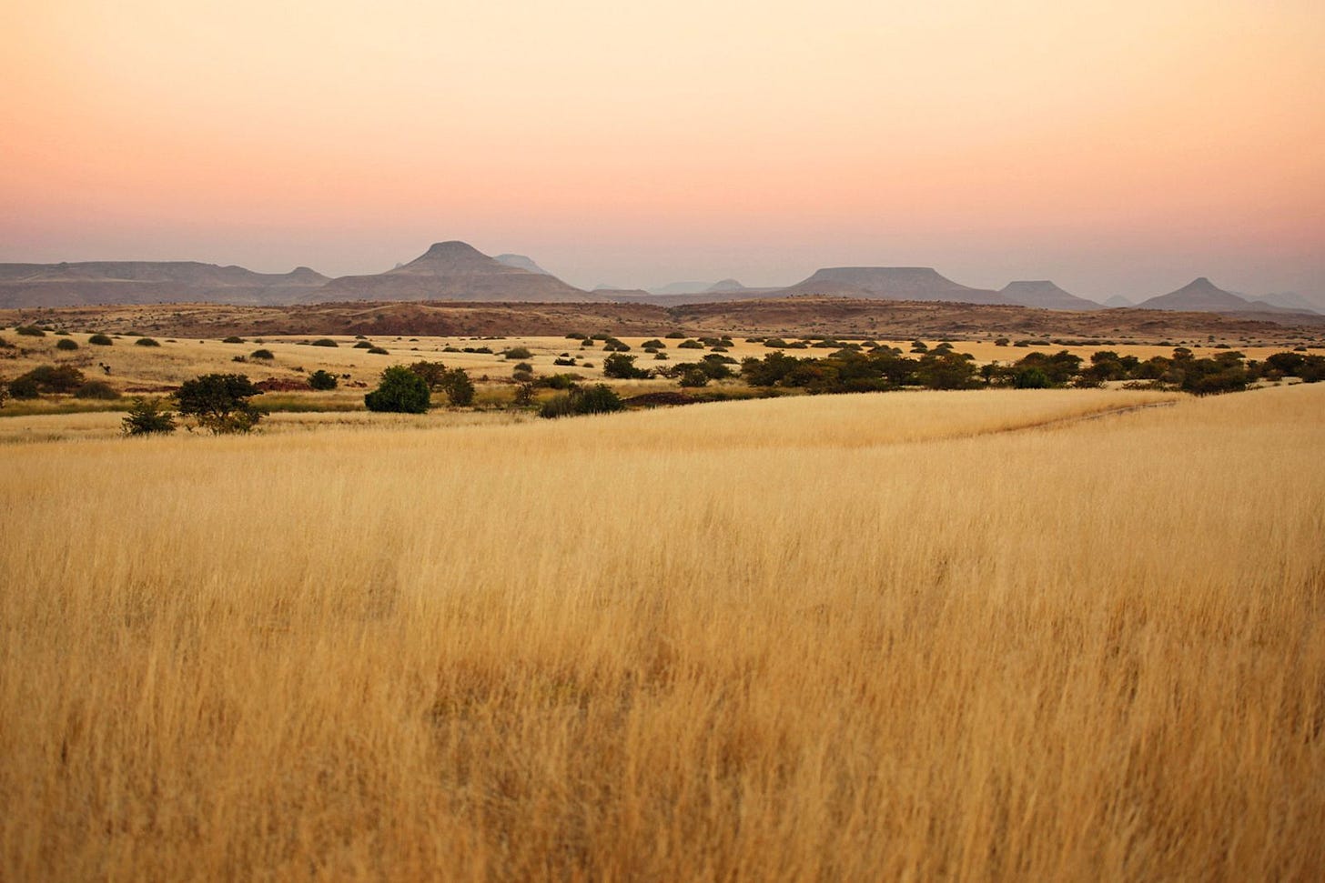 Namibia - Sustainable hunting in the Nyae Nyae Conservancy - SWAROVSKI OPTIK CLOSER Magazin, Hunting, Namibian Savannah Namibia - Sustainable hunting in the Nyae Nyae Conservancy - SWAROVSKI OPTIK CLOSER Magazin, Hunting, Namibian Savannah