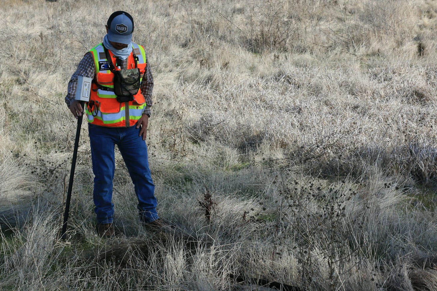 A surveyor searching for metal in a field A surveyor searching for metal in a field