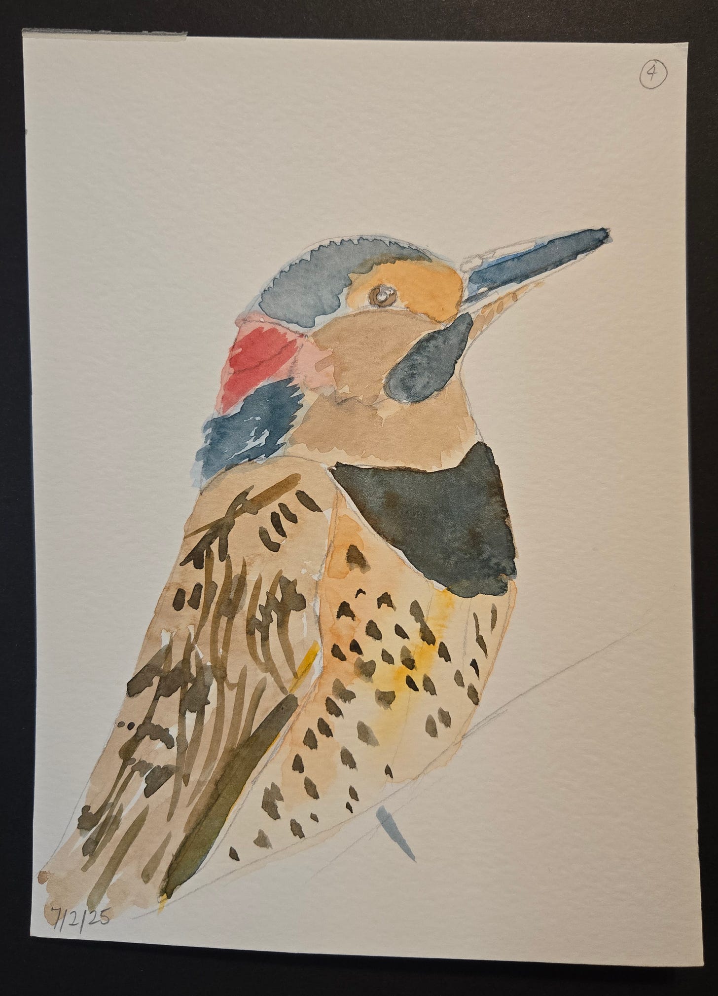 Watercolor painting of a gilded flicker with red nape and speckled feathers, perched with head tilted upward.
