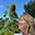 Anne Olive's avatar