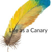 Life As a Canary