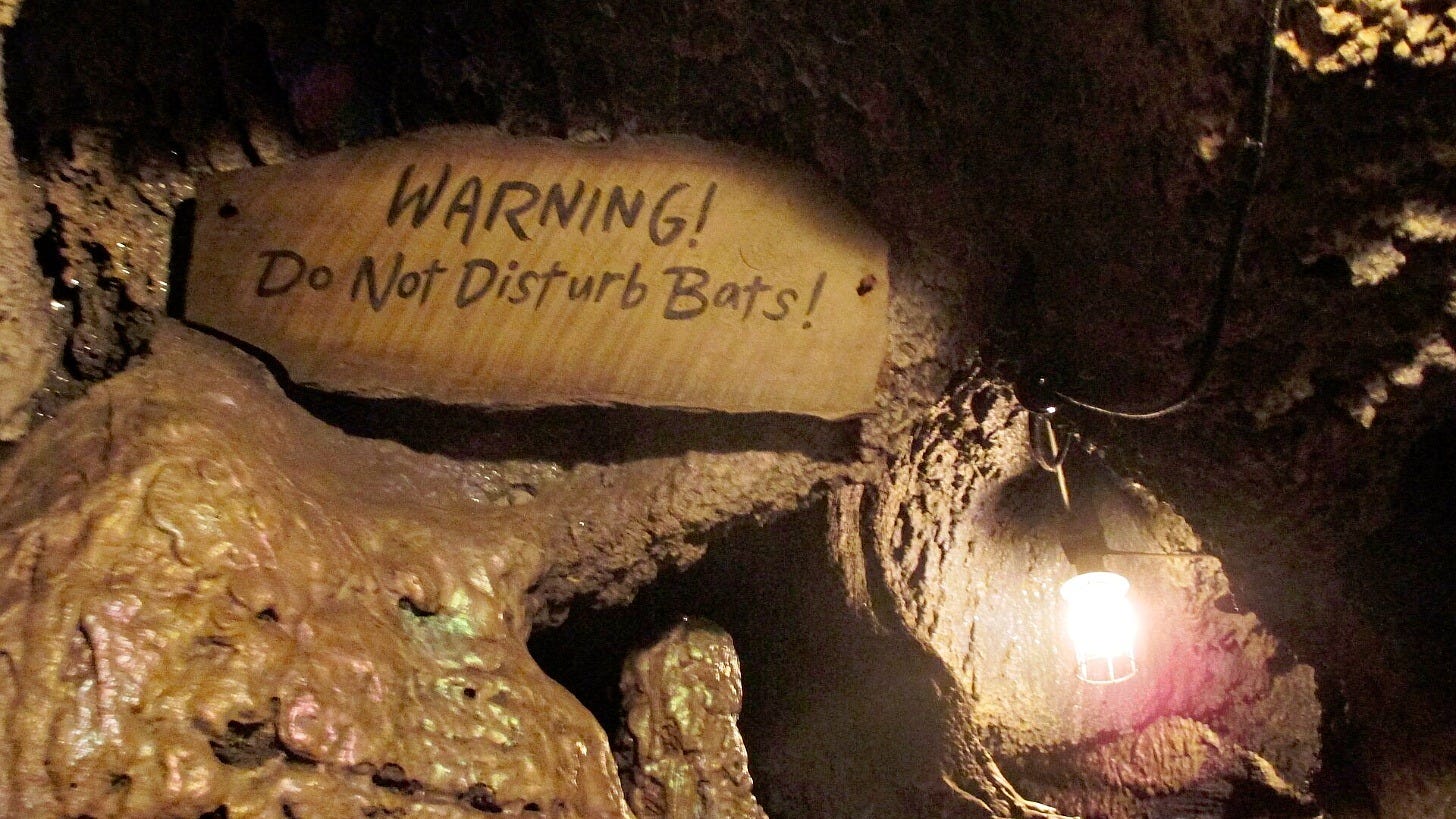 A bat warning sign in the Indiana Jones Adventure queue at Disneyland. Image: Patrick Pelletier via Wikimedia Commons
