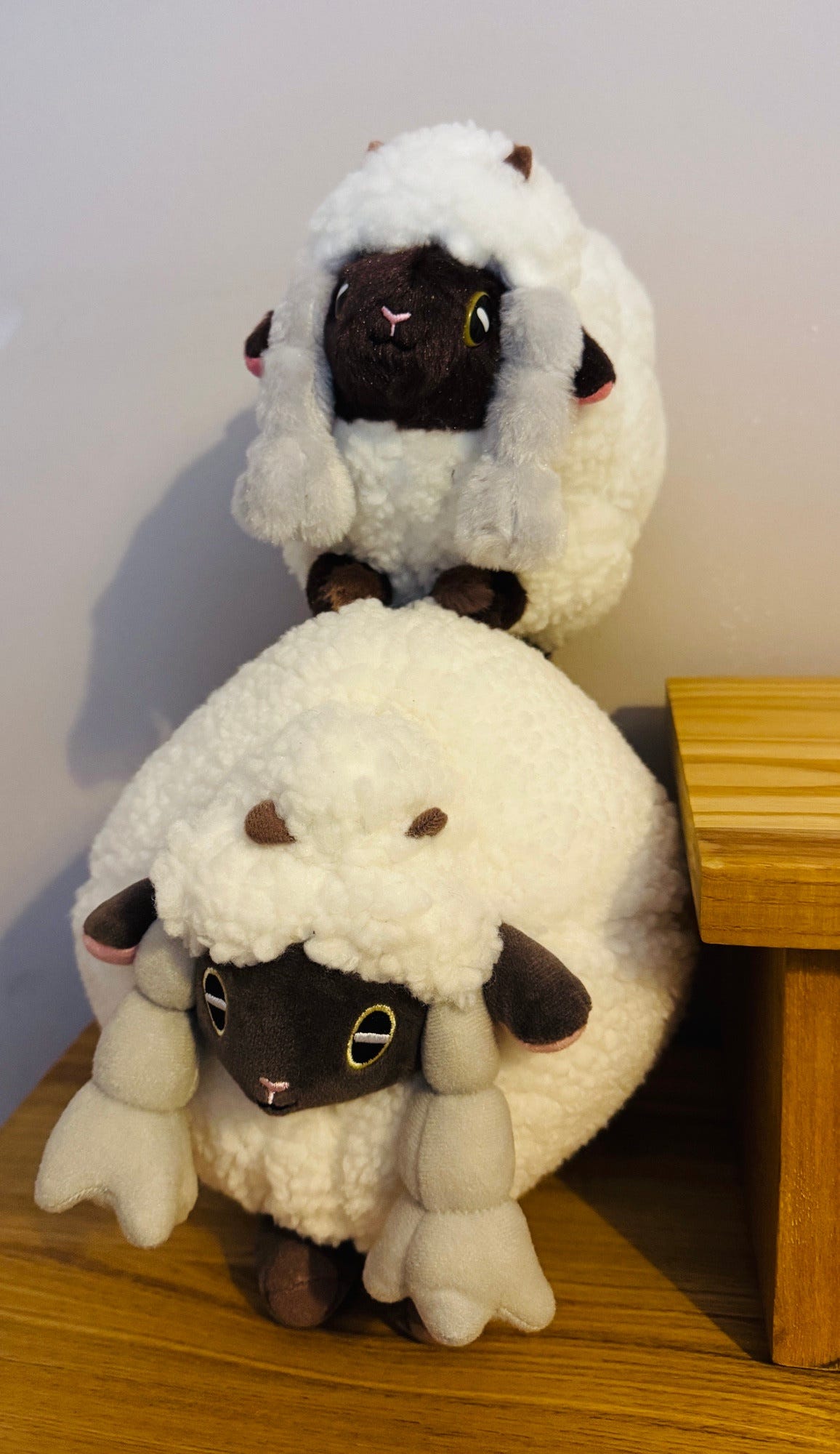 Sheep's two Wooloo plushies