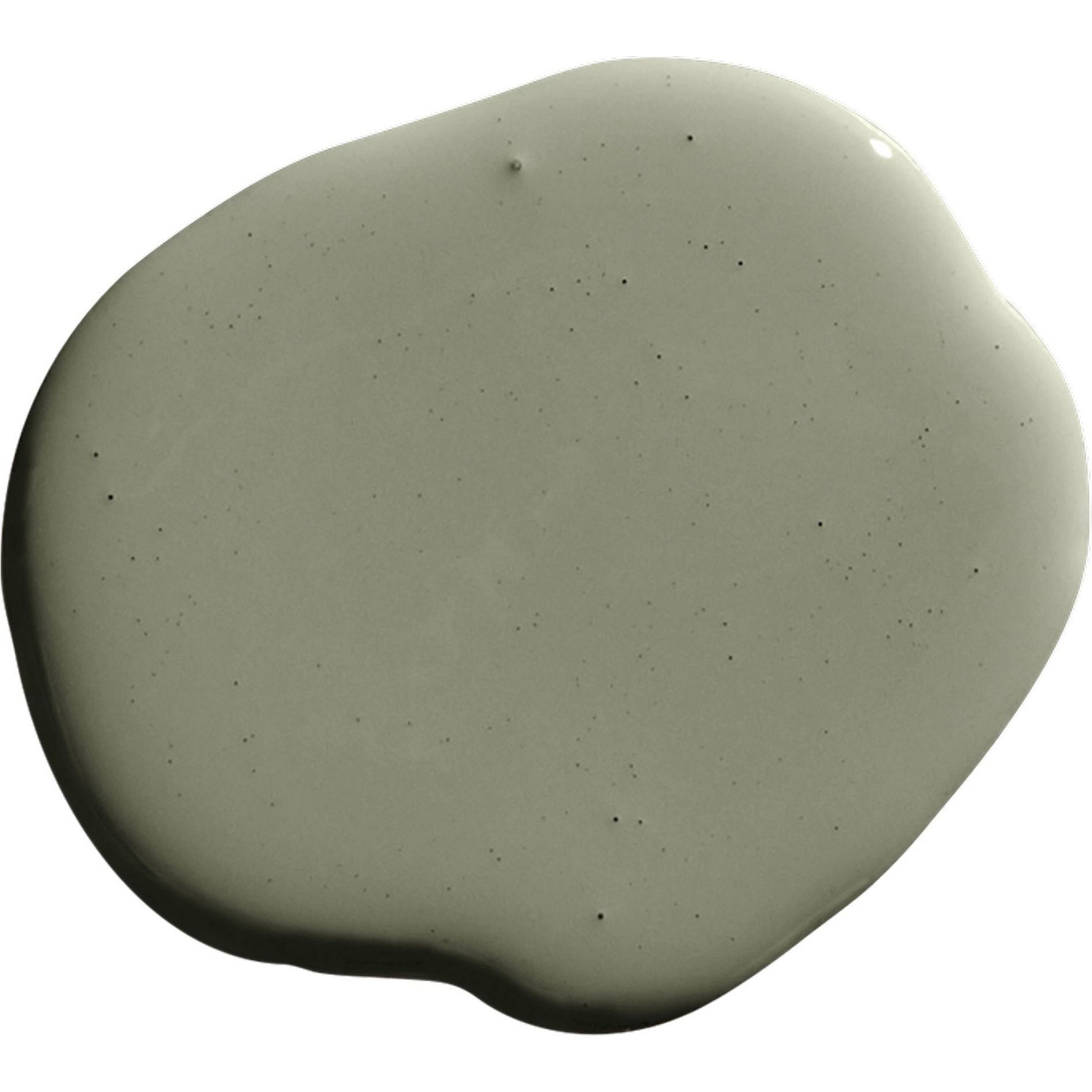Saged Paint, Muted Olive Green - Paint - 1 Saged Paint, Muted Olive Green - Paint - 1