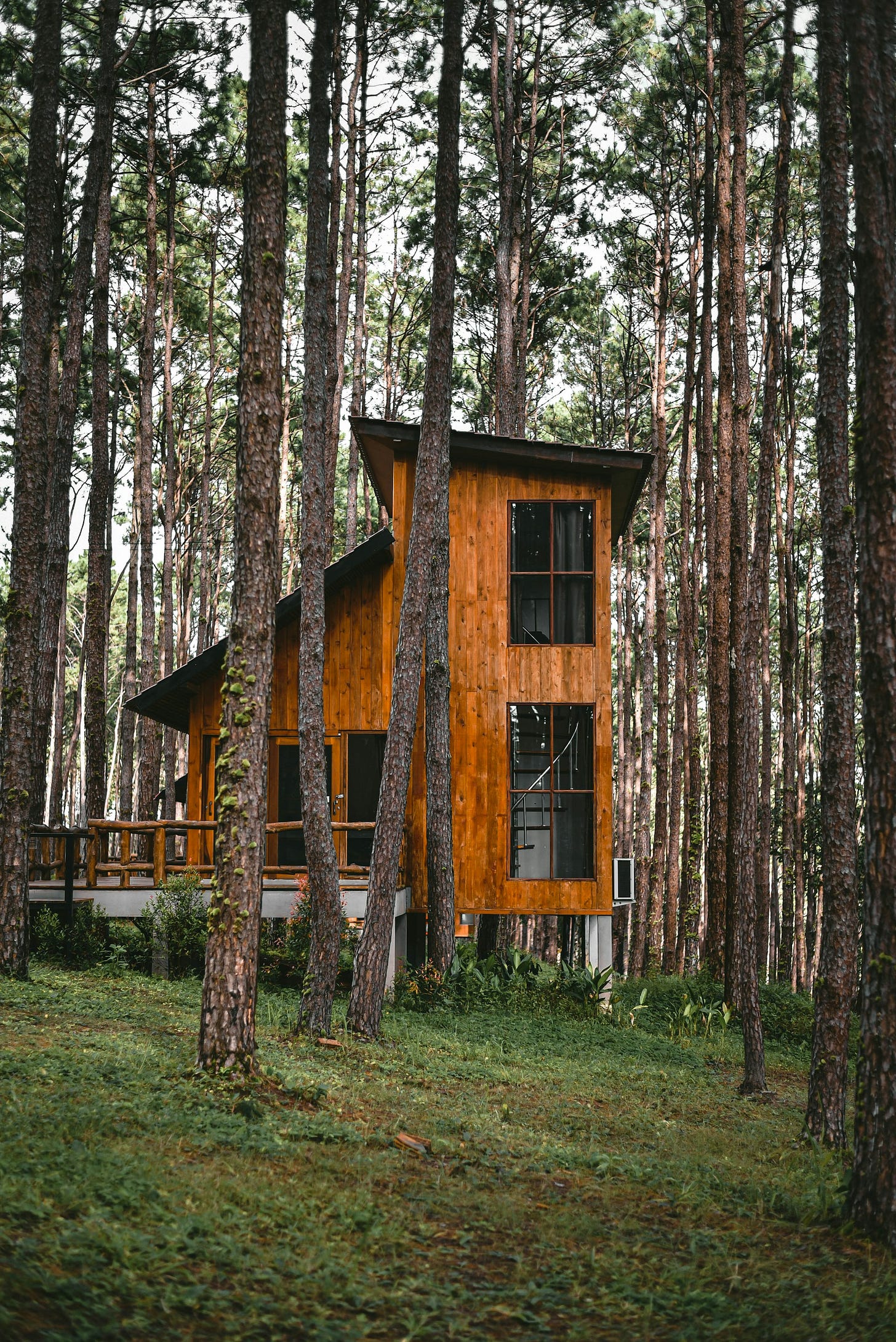 a tall wooden home on a gentle grassy slope is surrounded by tall trees a tall wooden home on a gentle grassy slope is surrounded by tall trees