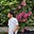 K.Tanvik Reddy's avatar