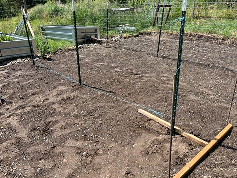 setting trellis panels in using 3 t-posts showing spacing between rows