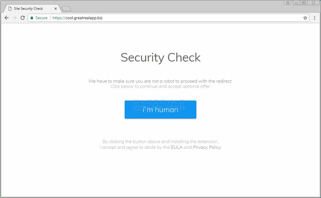Site Security Check Page
