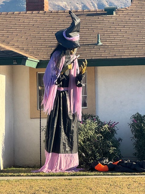 Various Halloween displays--including witches, skeletons, spiders, and a talking medieval knight--in front yards along Santa Paula Street.