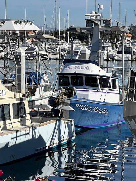 Ventura harbor with boat masts. Red boat. Blue boat. Rose, Natalie and Max eating ice cream. Free mermaid advice: Keep calm and wear pearls. Two dogs sitting together on a rug. A stack of books. Sunset through the trees.