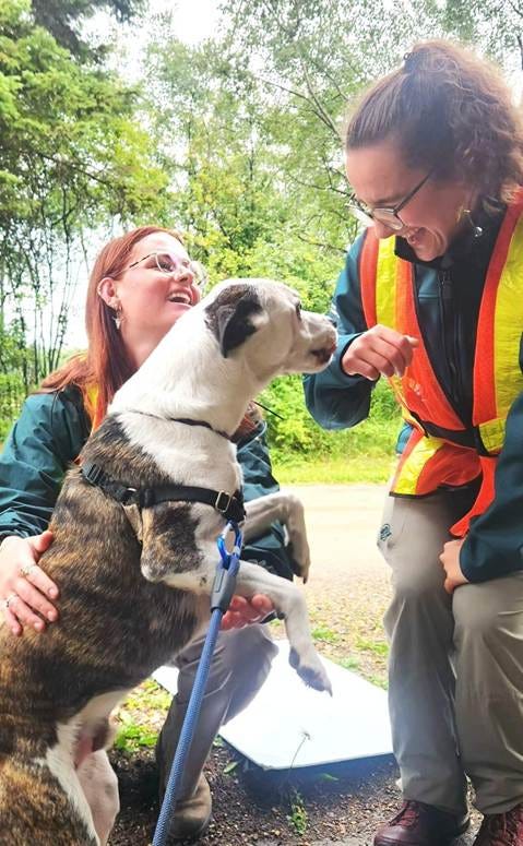 A person and a dog looking at each other

AI-generated content may be incorrect.