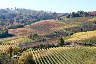 Opening shot, Piemonte vineyards Opening shot, Piemonte vineyards