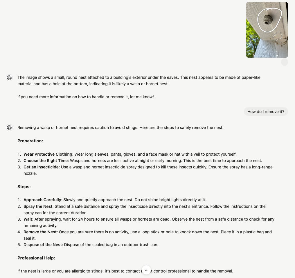 Screenshot of a ChatGPT multimodal session about a hornet's next