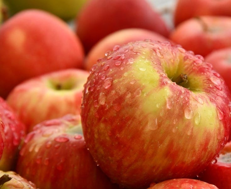 red apple fruit red apple fruit
