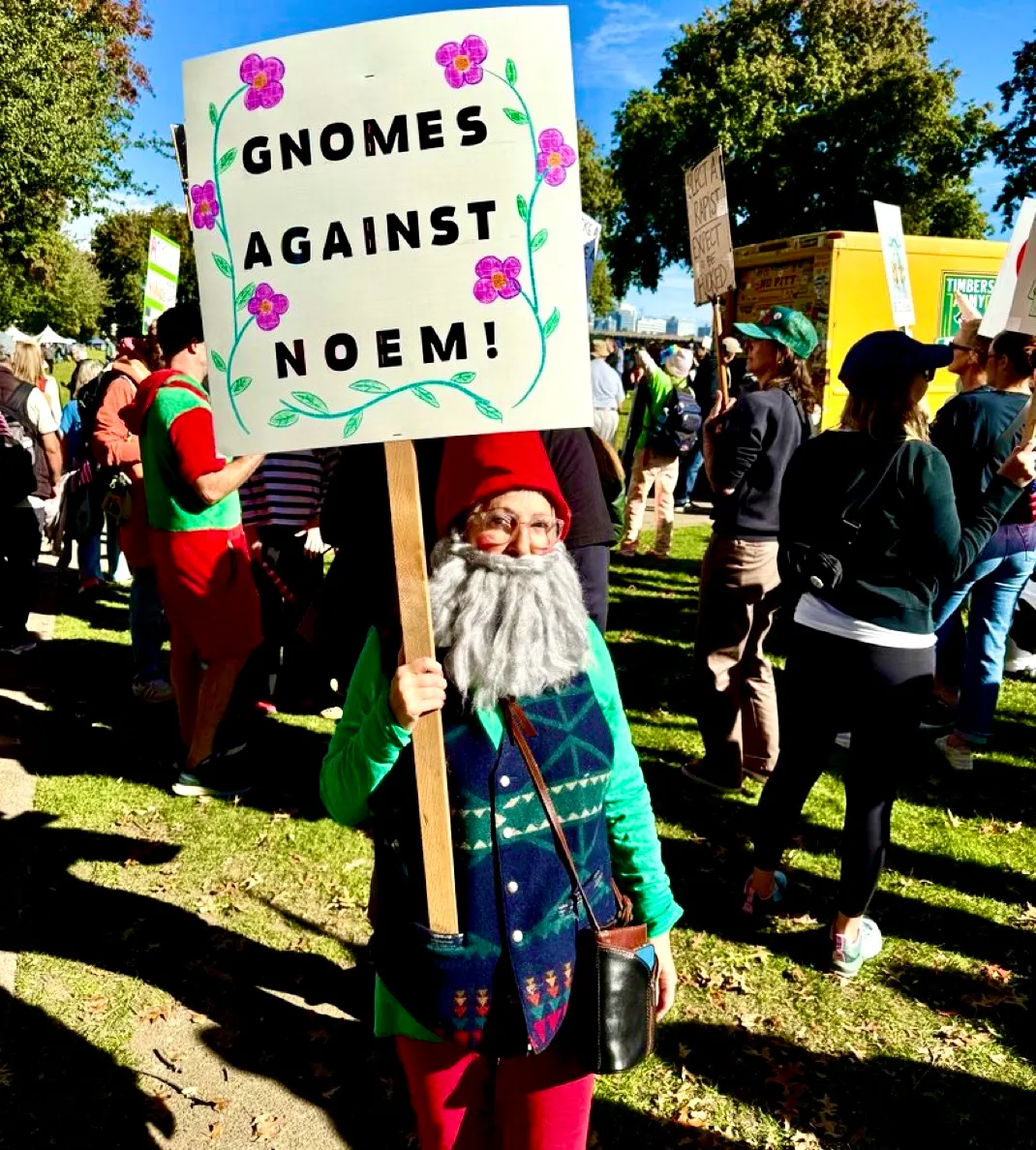 gnomes