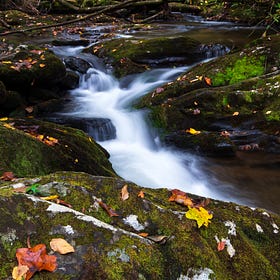 Waterfall Chasing- Hemlock Falls