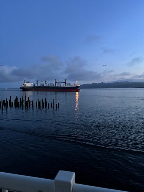 1. Tugboat going under a bridge at sunset. 2. Freighter on the Columbia River. 3. Astoria-Megler Bridger in sunrise. 4. Ships on the Columbia River with pilings. 5. Binoculars. 6. Big ship on the Columbia River. 7. View of the Columbia and Pacific Ocean from the Astoria Column. 8. Photo of Rose smiling from the Astoria Column. 9. View of downtown Astoria and the Columbia River