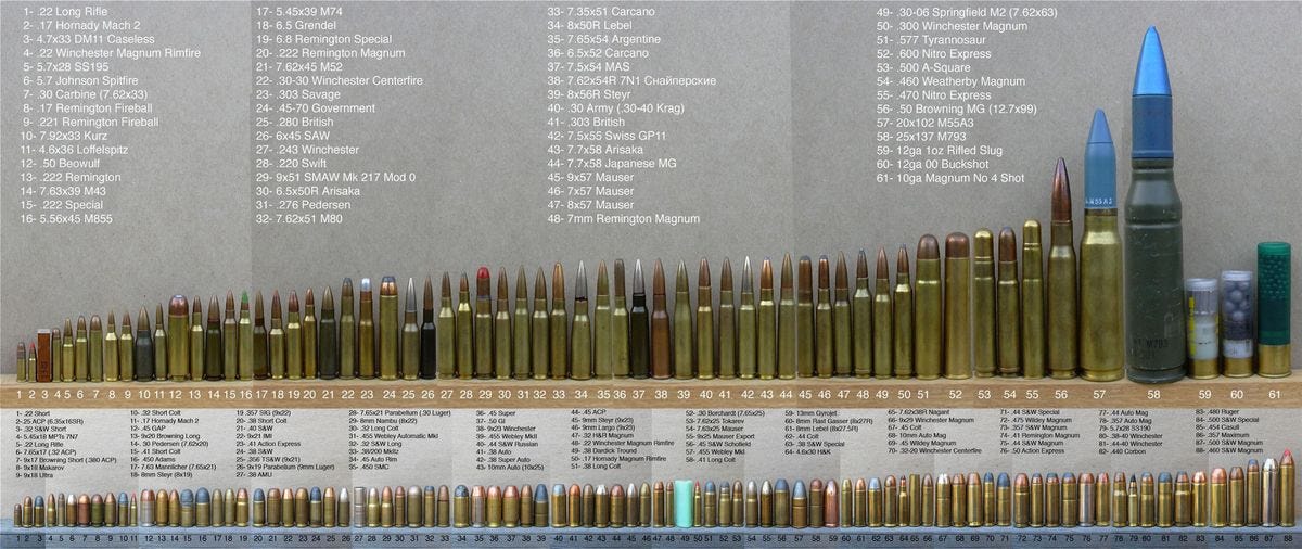 Choosing a Firearm Caliber – Common vs. Uncommon? | Florida Hillbilly Choosing a Firearm Caliber – Common vs. Uncommon? | Florida Hillbilly