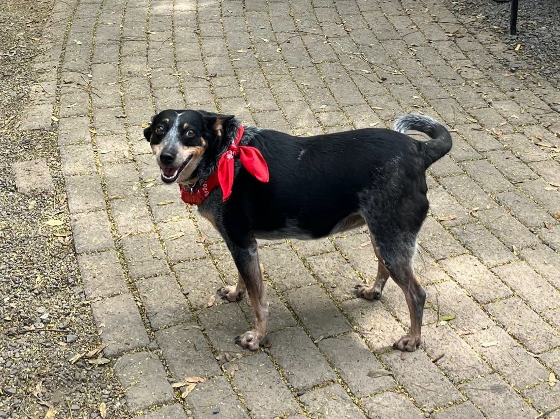 044: Walking the Path 044: Walking the Path