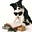 The Holistic Pet Collective's avatar