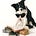 The Holistic Pet Collective's avatar