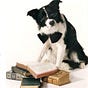 The Holistic Pet Collective's avatar