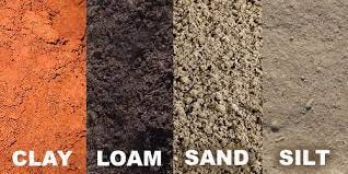Yardening With Yeti Intro and Soils