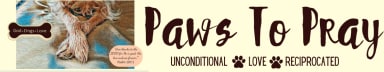 Paws To Pray with Peggianne