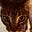 ElleD's avatar
