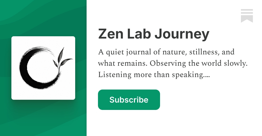 About - Zen Lab Journey