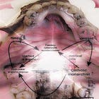 Harris Rosenblum: Algorithmic Alienation and Transcendence